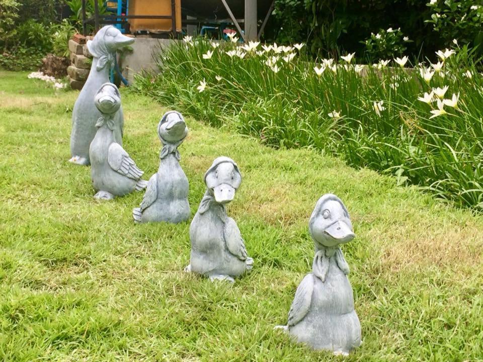 胡恩安汉住宿加早餐旅馆 清莱 外观 照片